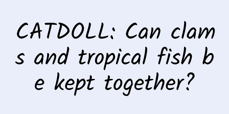 CATDOLL: Can clams and tropical fish be kept together?