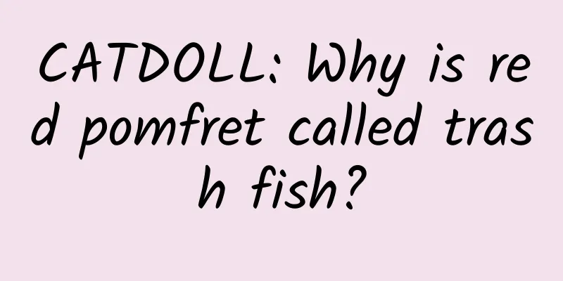 CATDOLL: Why is red pomfret called trash fish?