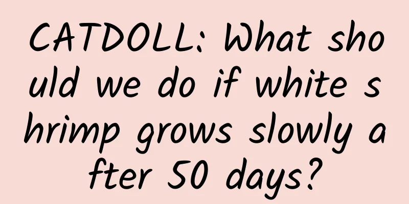 CATDOLL: What should we do if white shrimp grows slowly after 50 days?
