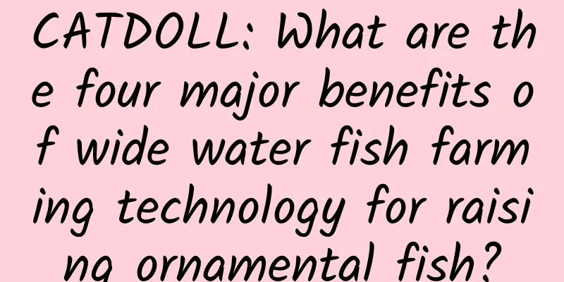 CATDOLL: What are the four major benefits of wide water fish farming technology for raising ornamental fish?