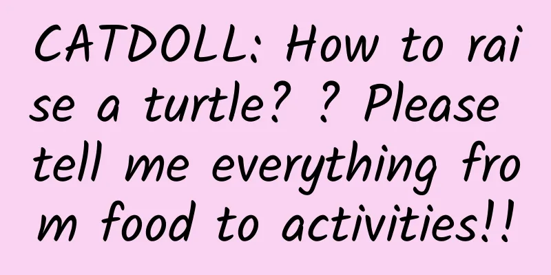 CATDOLL: How to raise a turtle? ? Please tell me everything from food to activities!!