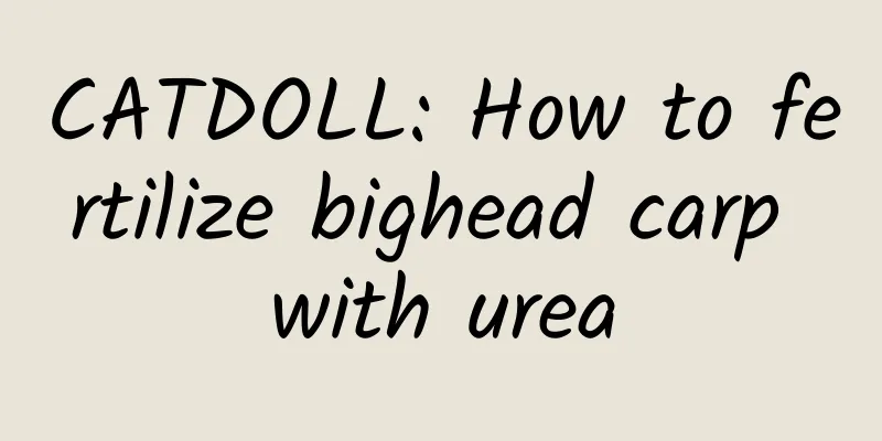 CATDOLL: How to fertilize bighead carp with urea