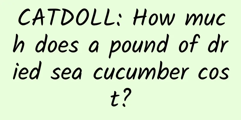 CATDOLL: How much does a pound of dried sea cucumber cost?