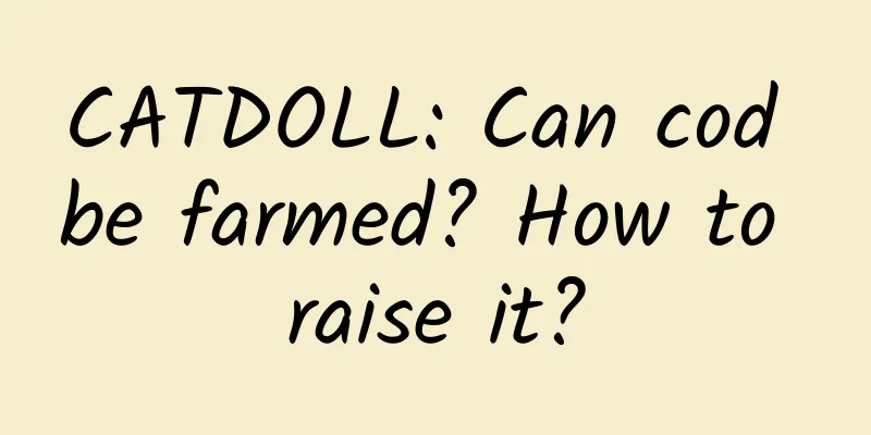 CATDOLL: Can cod be farmed? How to raise it?