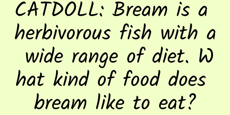 CATDOLL: Bream is a herbivorous fish with a wide range of diet. What kind of food does bream like to eat?