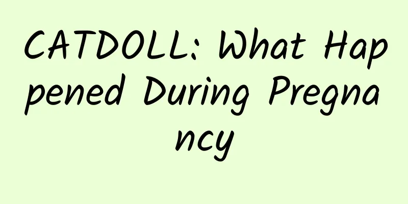 CATDOLL: What Happened During Pregnancy