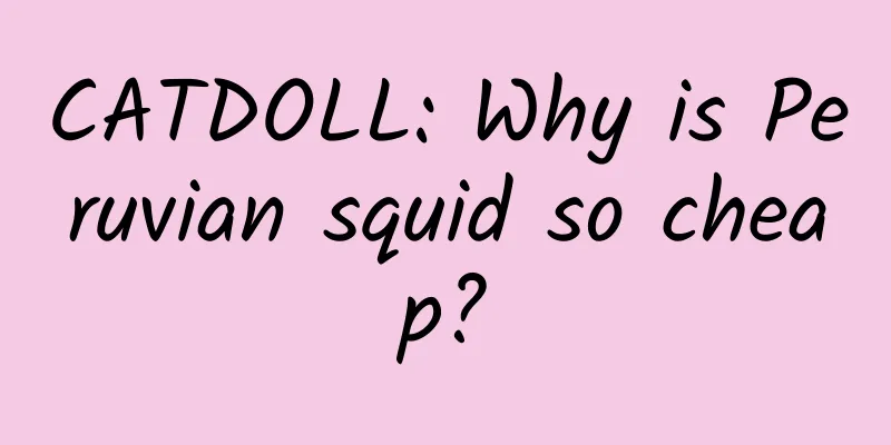 CATDOLL: Why is Peruvian squid so cheap?