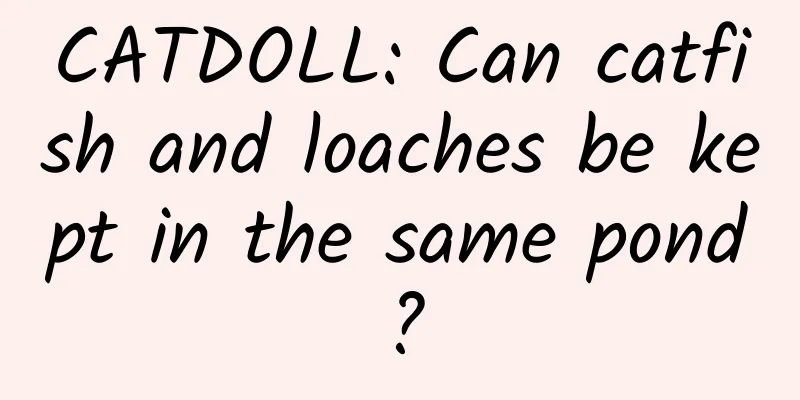 CATDOLL: Can catfish and loaches be kept in the same pond?