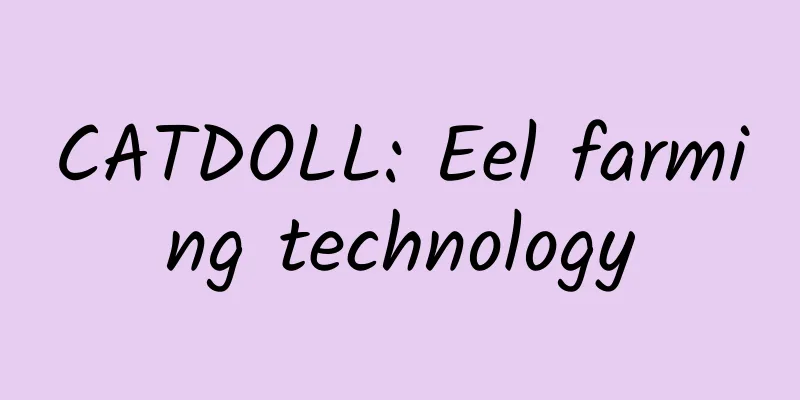 CATDOLL: Eel farming technology