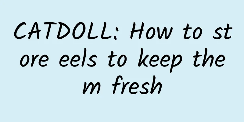 CATDOLL: How to store eels to keep them fresh