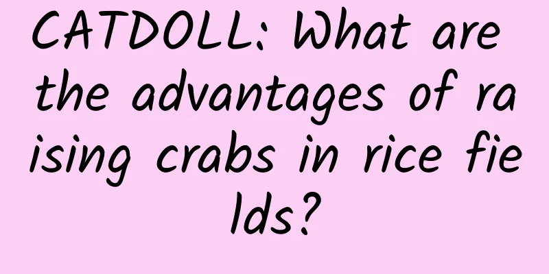 CATDOLL: What are the advantages of raising crabs in rice fields?