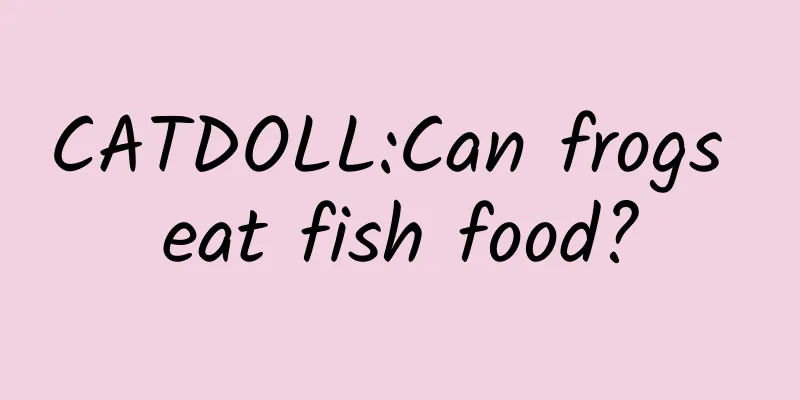 CATDOLL:Can frogs eat fish food?