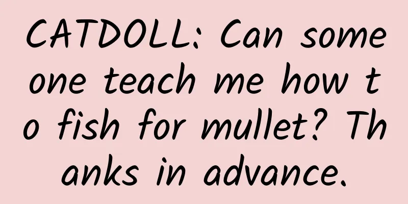 CATDOLL: Can someone teach me how to fish for mullet? Thanks in advance.