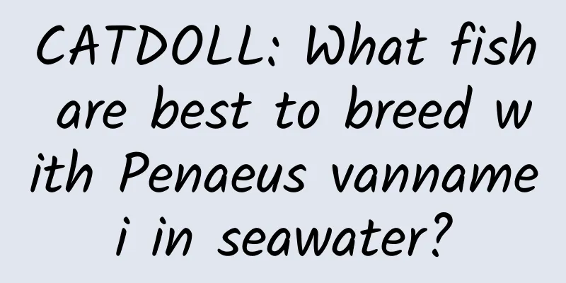CATDOLL: What fish are best to breed with Penaeus vannamei in seawater?