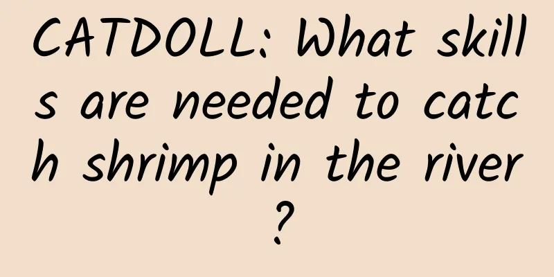 CATDOLL: What skills are needed to catch shrimp in the river?