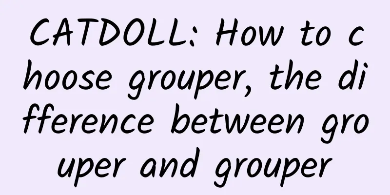 CATDOLL: How to choose grouper, the difference between grouper and grouper