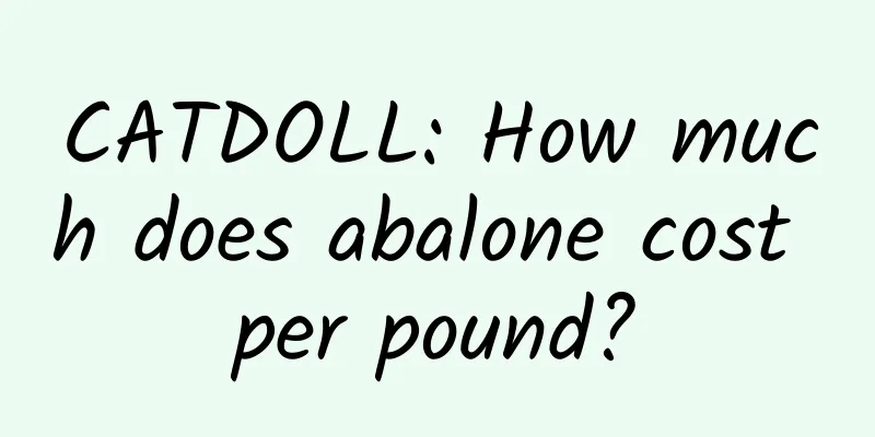 CATDOLL: How much does abalone cost per pound?