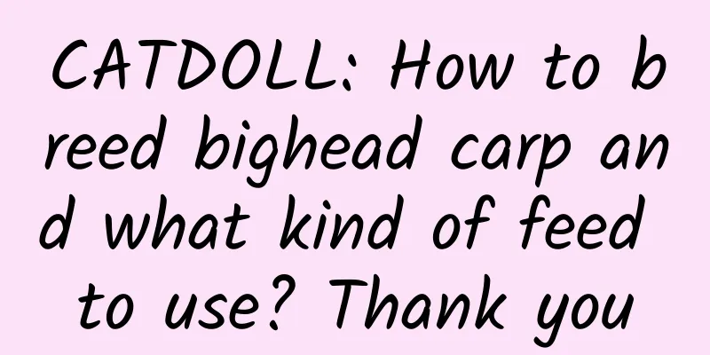 CATDOLL: How to breed bighead carp and what kind of feed to use? Thank you