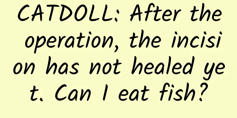 CATDOLL: After the operation, the incision has not healed yet. Can I eat fish?