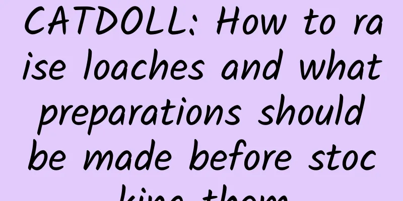 CATDOLL: How to raise loaches and what preparations should be made before stocking them