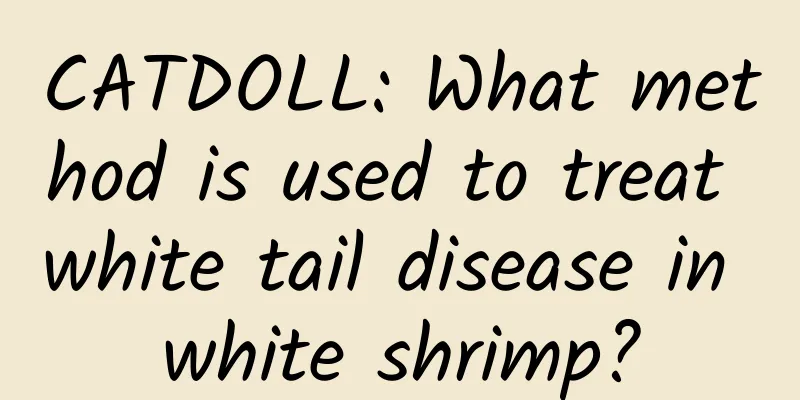 CATDOLL: What method is used to treat white tail disease in white shrimp?
