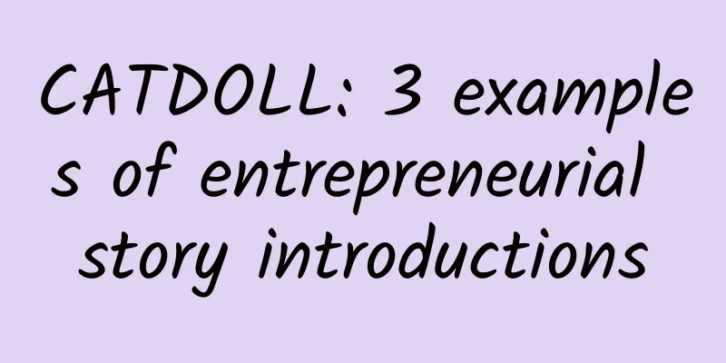CATDOLL: 3 examples of entrepreneurial story introductions