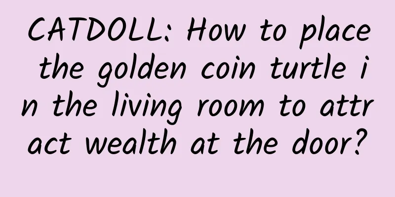 CATDOLL: How to place the golden coin turtle in the living room to attract wealth at the door?