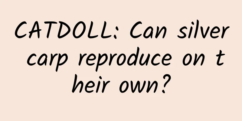 CATDOLL: Can silver carp reproduce on their own?