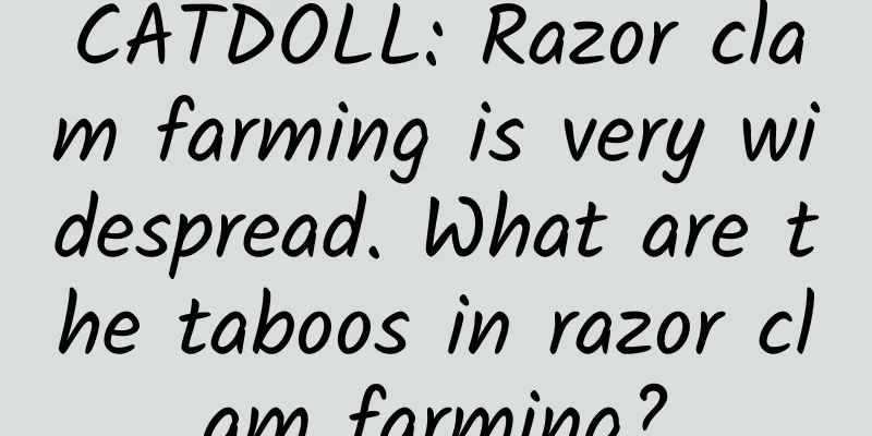 CATDOLL: Razor clam farming is very widespread. What are the taboos in razor clam farming?