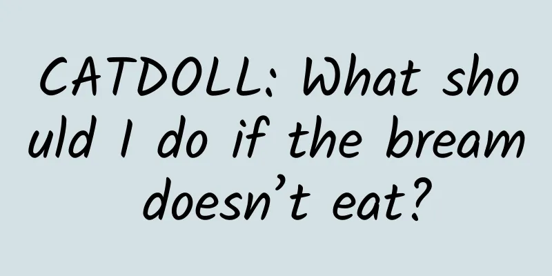 CATDOLL: What should I do if the bream doesn’t eat?