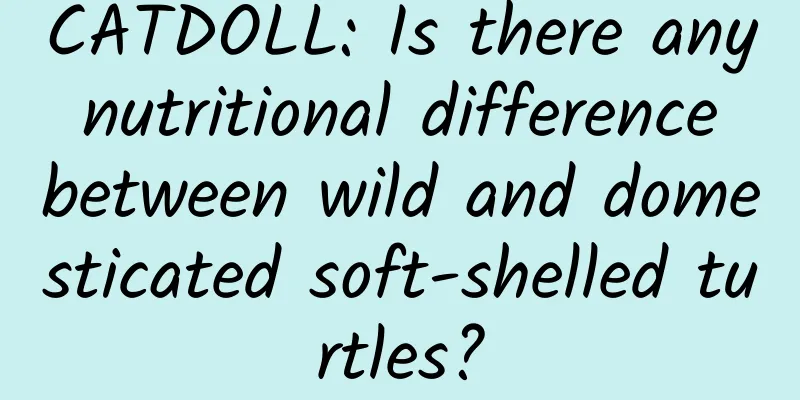 CATDOLL: Is there any nutritional difference between wild and domesticated soft-shelled turtles?
