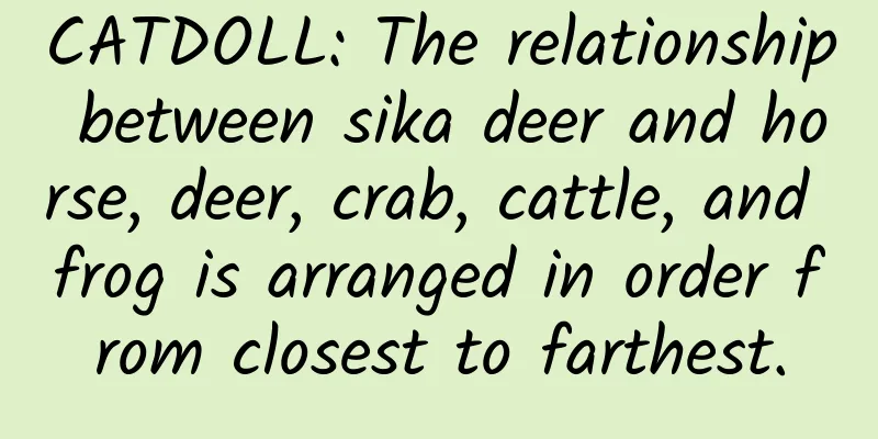 CATDOLL: The relationship between sika deer and horse, deer, crab, cattle, and frog is arranged in order from closest to farthest.