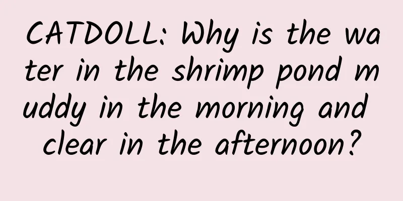 CATDOLL: Why is the water in the shrimp pond muddy in the morning and clear in the afternoon?