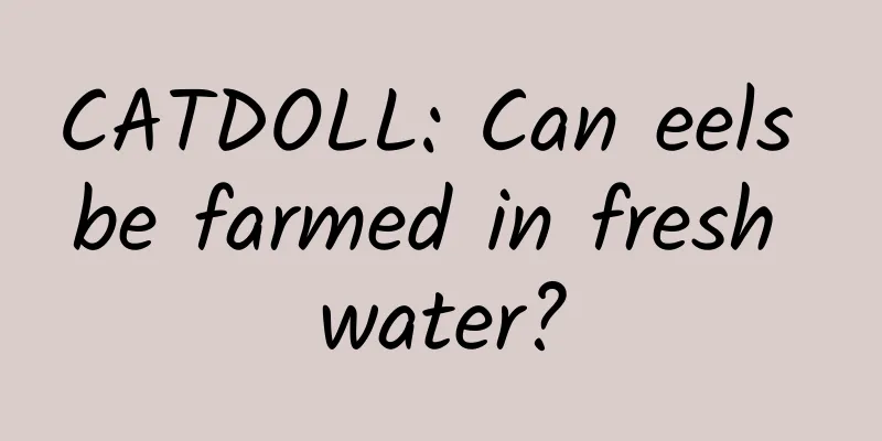 CATDOLL: Can eels be farmed in fresh water?