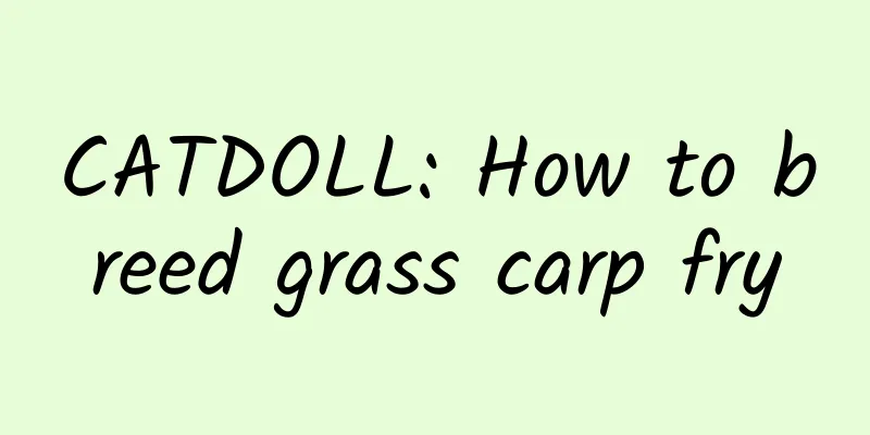 CATDOLL: How to breed grass carp fry
