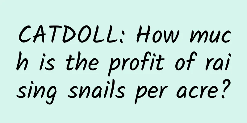 CATDOLL: How much is the profit of raising snails per acre?