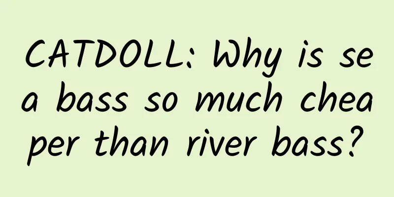 CATDOLL: Why is sea bass so much cheaper than river bass?