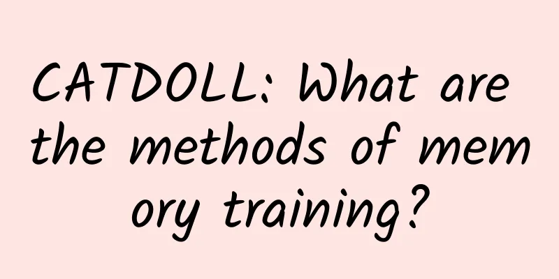 CATDOLL: What are the methods of memory training?