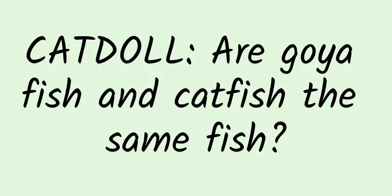 CATDOLL: Are goya fish and catfish the same fish?