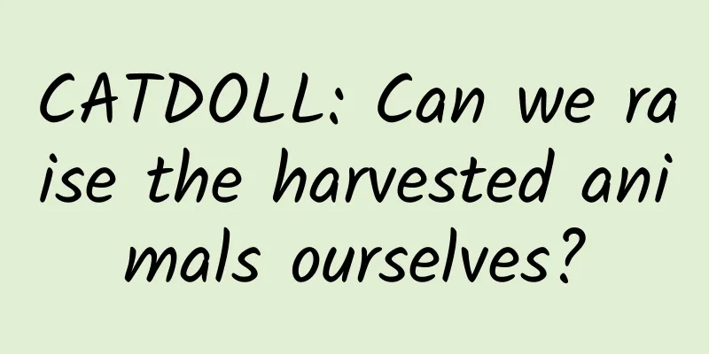 CATDOLL: Can we raise the harvested animals ourselves?