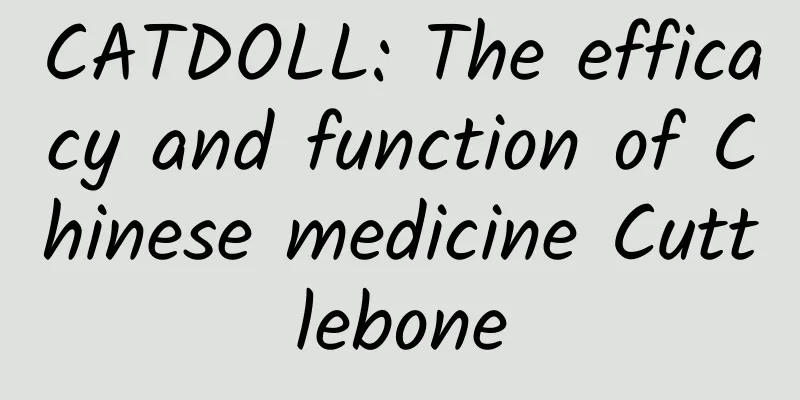 CATDOLL: The efficacy and function of Chinese medicine Cuttlebone