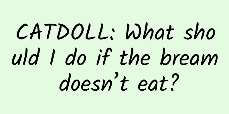 CATDOLL: What should I do if the bream doesn’t eat?