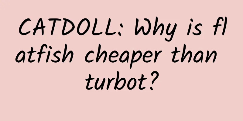 CATDOLL: Why is flatfish cheaper than turbot?