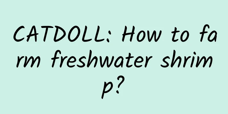 CATDOLL: How to farm freshwater shrimp?