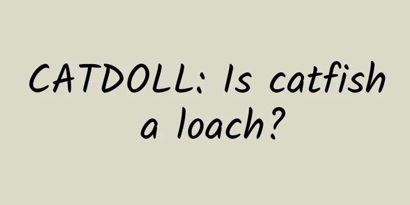 CATDOLL: Is catfish a loach?