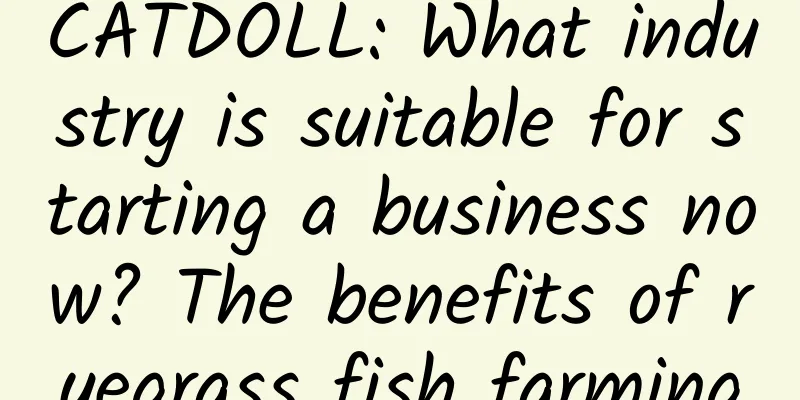 CATDOLL: What industry is suitable for starting a business now? The benefits of ryegrass fish farming