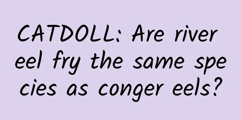 CATDOLL: Are river eel fry the same species as conger eels?