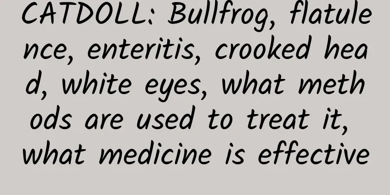CATDOLL: Bullfrog, flatulence, enteritis, crooked head, white eyes, what methods are used to treat it, what medicine is effective