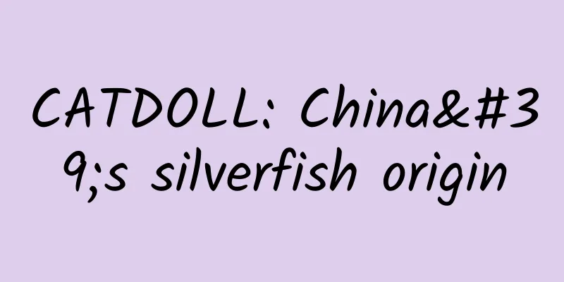 CATDOLL: China's silverfish origin