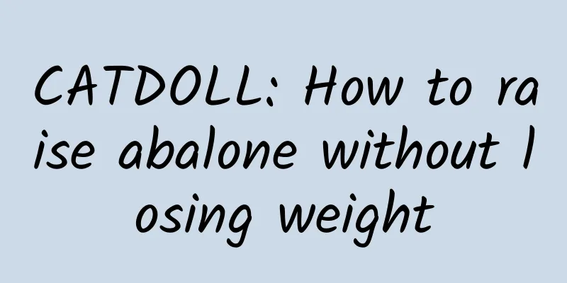 CATDOLL: How to raise abalone without losing weight